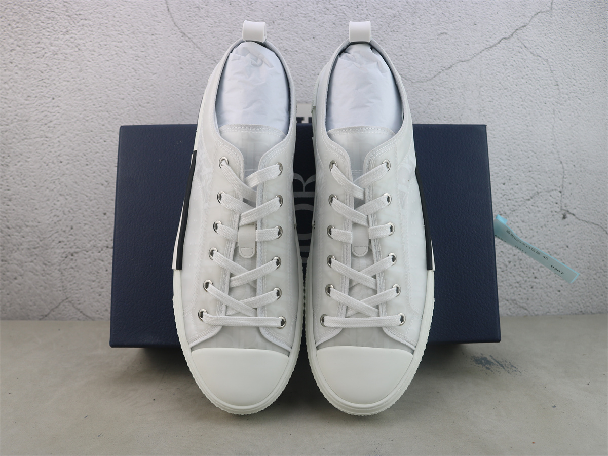 Dior B23 low Oblique Canvas White 3SN249YNT_H060